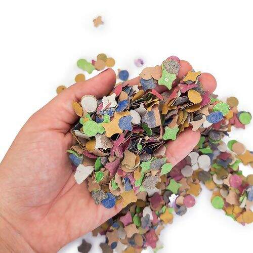 Confete Mania Carnaval Folia 100 Gramas - 1 Pacote