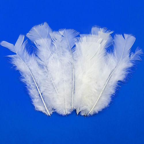 Pena Colorida para Artesanato - Pct c/ 12 unidades Cor:Branco