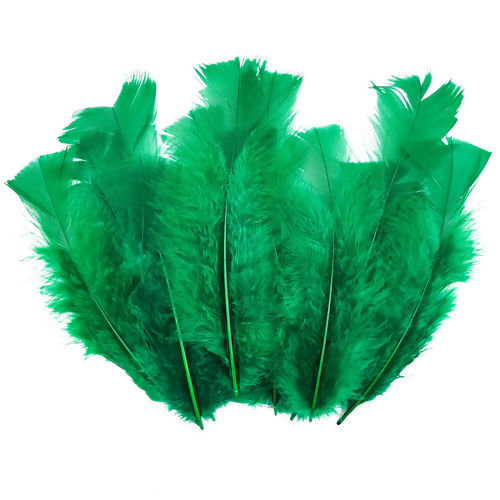 Pena Colorida para Artesanato - Pct c/ 12 unidades Cor:Verde Bandeira