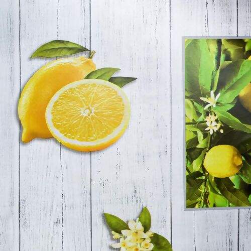 Toalha de Mesa Plástica Térmica Neo Sanem 1,00x1,40m - Limonada