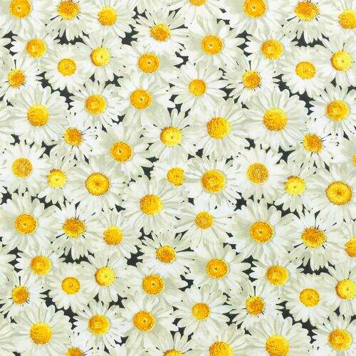 Tecido de Algodão Estampado (Meio Metro) - 2288 Daisy Margaridas Brancas