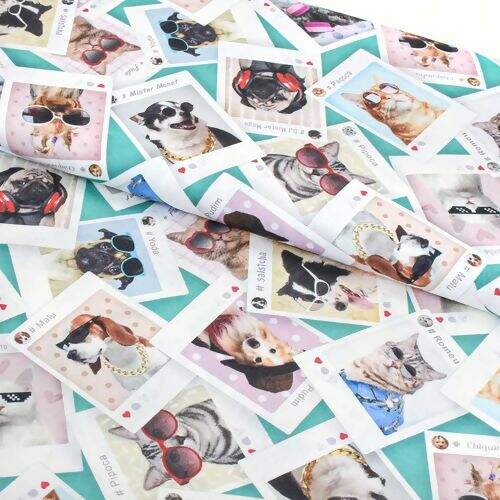 Tecido de Algodão Estampa Digital (Meio Metro) - Cães e Gatos