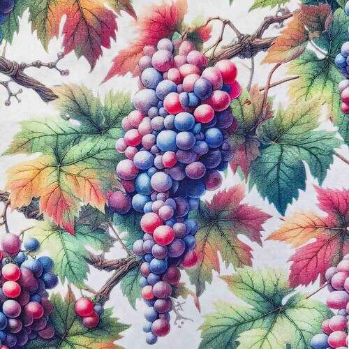 Tecido Tricoline Digital Coleção Vineyard 0,50x1,50m