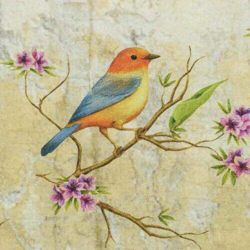 Tecido de Algodão Estampa Digital (Meio Metro) - Pássaros