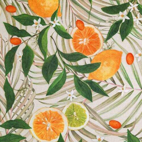 Tecido de Decoração Havana Estampa Digital com Proteção (Meio Metro) - 5905D Cítrico