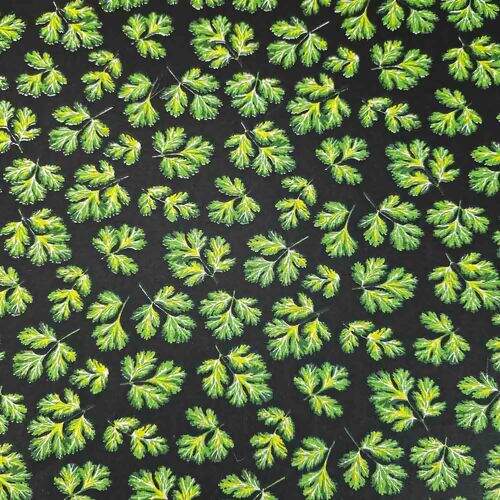 Tecido de Algodão Estampado (Meio Metro) - Salsinha Fundo Preto