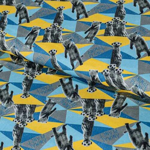 Tecido de Algodão Estampado (Meio Metro) - Suricatos