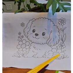 Pano de Prato Extra Riscado 45x70cm 100% Algodão - UNIDADE