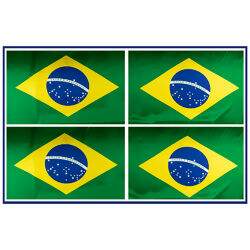 Tecido de Cetim Estampado (01 Metro) - Bandeira do Brasil 0,50 x 0,70 mt