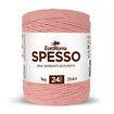 Barbante 24 Fios EuroRoma Spesso - 1 kg Cor:0700 - Salmão