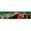 Fita de Gorgurão Estampada 38 mm Moana Verde - Peça c/ 10 mt
