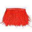Franja de Plumas de Avestruz (Meio Metro) - Vermelho