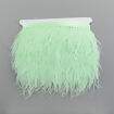 Franja de Plumas de Avestruz (Meio Metro) - Verde Bebê