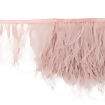Franja de Plumas de Avestruz (Meio Metro) - Rosa Pó