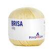 Linha Brisa 100g Pingouin Cor da Linha Brisa:0201 - Melão