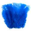 Pena Colorida para Artesanato - Pct c/ 12 unidades Cor do Pacote de Penas:Azul Royal