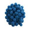 Pompom Solto 20 mm - Pct c/ 50 unidades Cor do Pompom Solto:012 - Azul Escuro