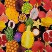 Tecido de Algodão Estampa Digital (Meio Metro) - Frutas 