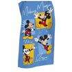 Toalha de Banho Praia Piscina Aveludada Döhler Cor:Tamanho 70cmx1,30m Mickey 12